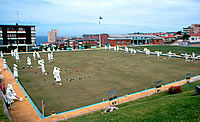 Lawn Bowling - Rosebay